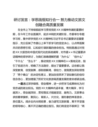 研讨发言：学思践悟知行合一 努力推动文旅文创融合高质量发展