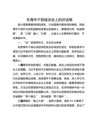 在青年干部座谈会上的讲话稿_1