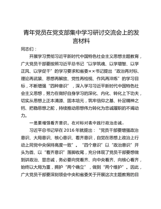青年党员在党支部集中学习研讨交流会上的发言材料_1