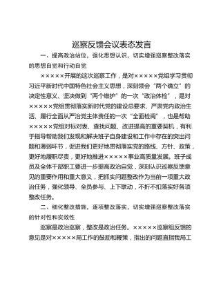 巡察反馈会议表态发言