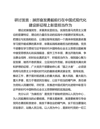 研讨发言：踔厉奋发勇毅前行在中国式现代化建设新征程上彰显担当作为