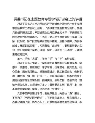 党委书记在主题教育专题学习研讨会上的讲话
