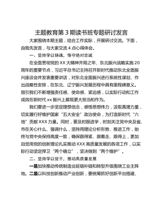 主题教育第3期读书班专题研讨发言