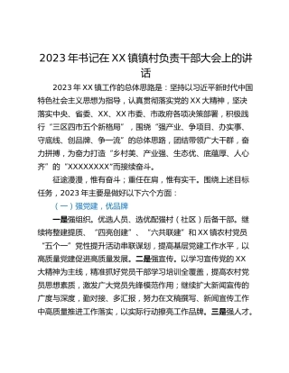 2023年书记在XX镇镇村负责干部大会上的讲话