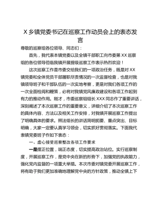 X乡镇党委书记在巡察工作动员会上的表态发言