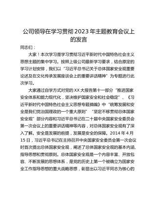 公司领导在学习贯彻2023年主题教育会议上的发言