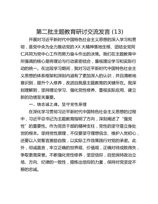 第二批主题教育研讨交流发言 (13)