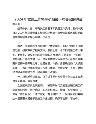 2024年党建工作领导小组第一次会议的讲话