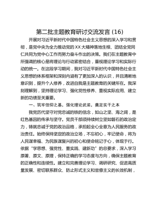 第二批主题教育研讨交流发言 (16)_1