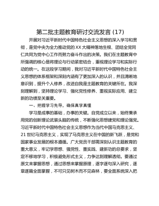 第二批主题教育研讨交流发言 (17)