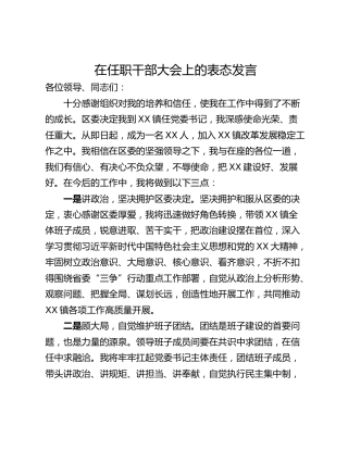 在任职干部大会上的表态发言
