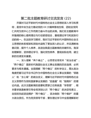 第二批主题教育研讨交流发言 (22)