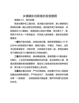 乡镇镇长任职表态发言提纲