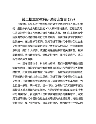 第二批主题教育研讨交流发言 (29)