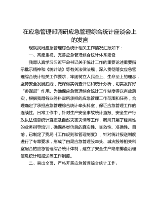 在应急管理部调研应急管理综合统计座谈会上的发言