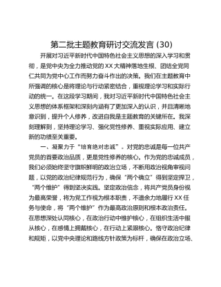 第二批主题教育研讨交流发言 (30)