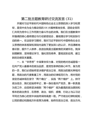 第二批主题教育研讨交流发言 (31)