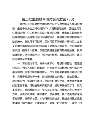 第二批主题教育研讨交流发言 (33)
