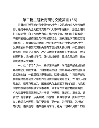 第二批主题教育研讨交流发言 (36)