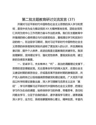 第二批主题教育研讨交流发言 (37)