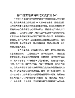 第二批主题教育研讨交流发言 (45)