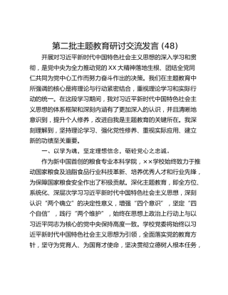 第二批主题教育研讨交流发言 (48)
