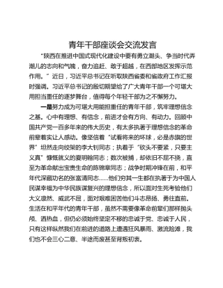 青年干部座谈会交流发言_1