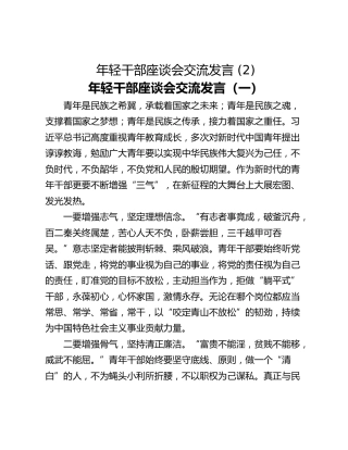 年轻干部座谈会交流发言 (2)