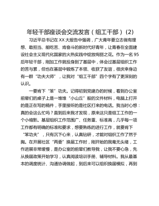 年轻干部座谈会交流发言（组工干部） (2)