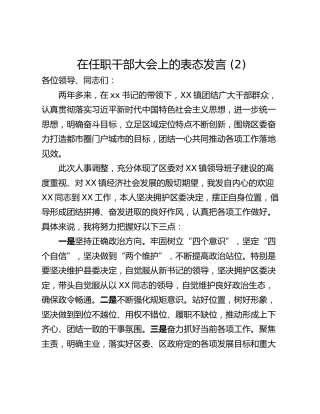 在任职干部大会上的表态发言 (2)