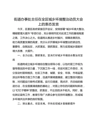 街道办事处主任在全区城乡环境整治动员大会上的表态发言