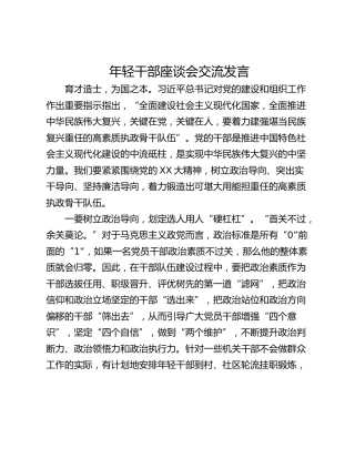 年轻干部座谈会交流发言_4