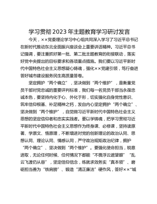 学习贯彻2023年主题教育学习研讨发言