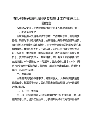 在乡村振兴及耕地保护专项审计工作推进会上的发言