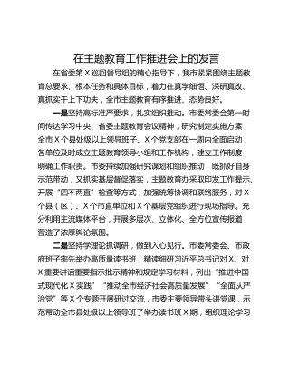 在主题教育工作推进会上的发言