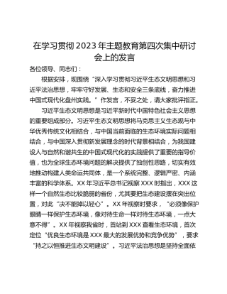 在学习贯彻2023年主题教育第四次集中研讨会上的发言