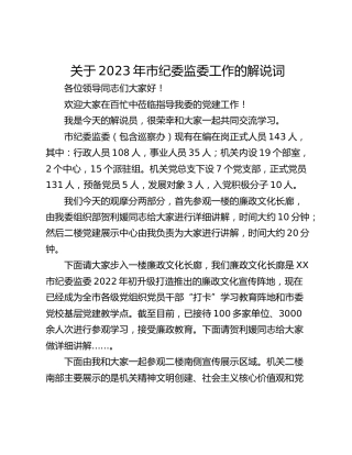 关于2023年市纪委监委工作的解说词