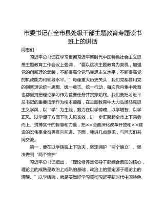 市委书记在全市县处级干部主题教育专题读书班上的讲话
