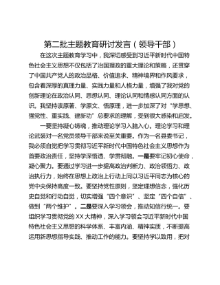 第二批主题教育研讨发言（领导干部）