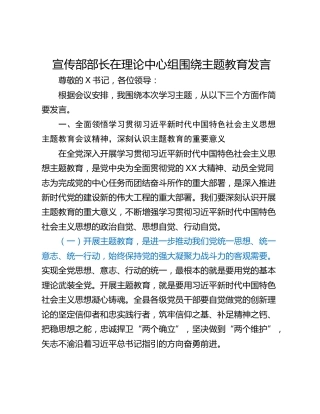 宣传部部长在理论中心组围绕主题教育发言