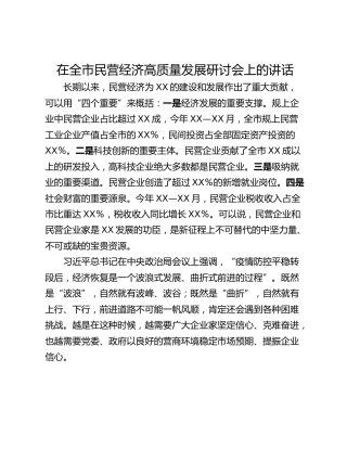 在全市民营经济高质量发展研讨会上的讲话