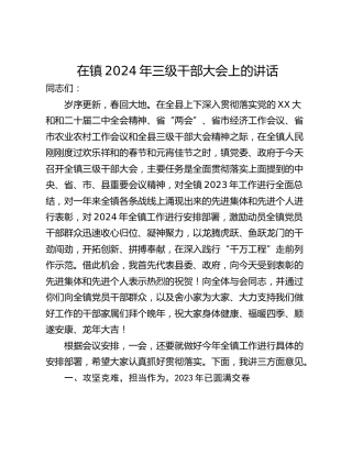 在镇2024年三级干部大会上的讲话