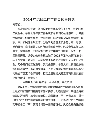 2024年纪检风控工作会领导讲话_1