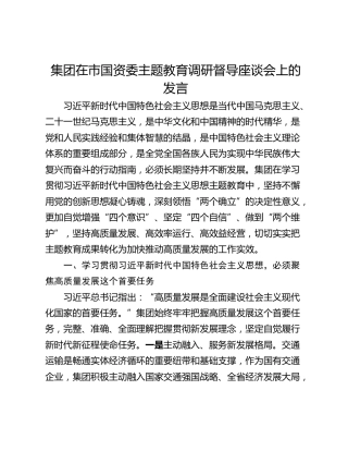 集团在市国资委主题教育调研督导座谈会上的发言