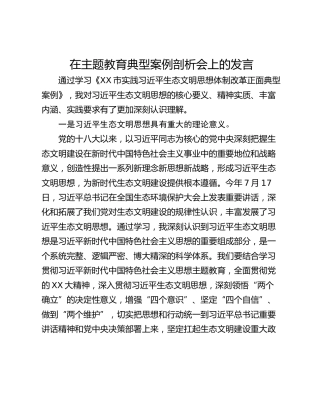 在主题教育典型案例剖析会上的发言