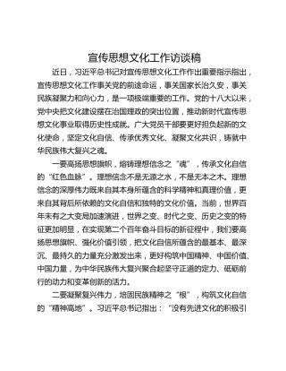 宣传思想文化工作访谈稿