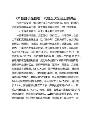 XX县县长在县委十六届五次全会上的讲话