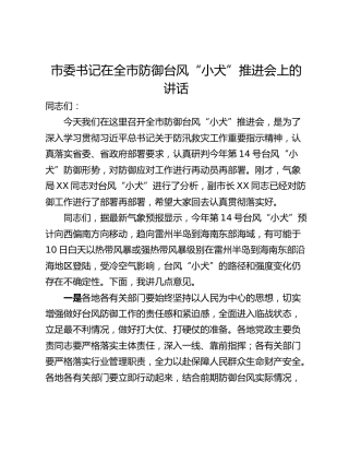 市委书记在全市防御台风“小犬”推进会上的讲话