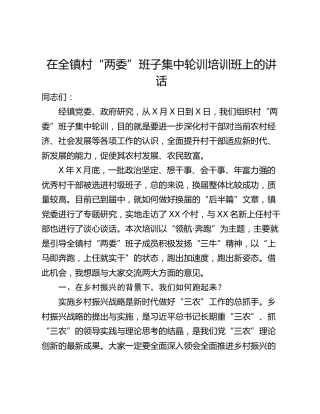 在全镇村“两委”班子集中轮训培训班上的讲话