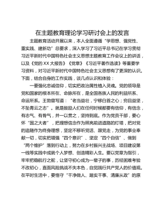 在主题教育理论学习研讨会上的发言